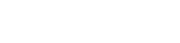 Go Mini's Franchise